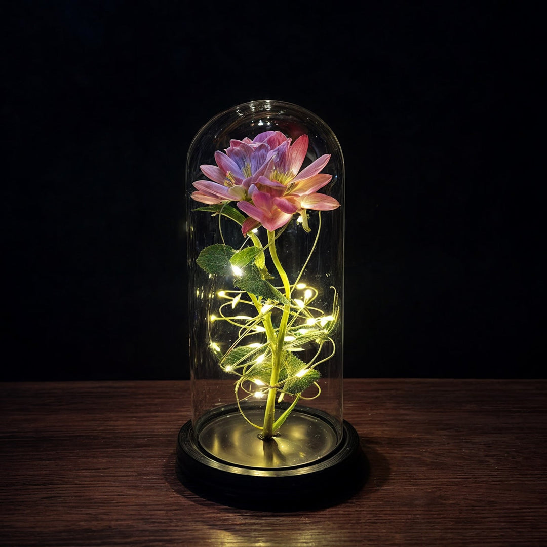 Rose perpétuelle LED 2
