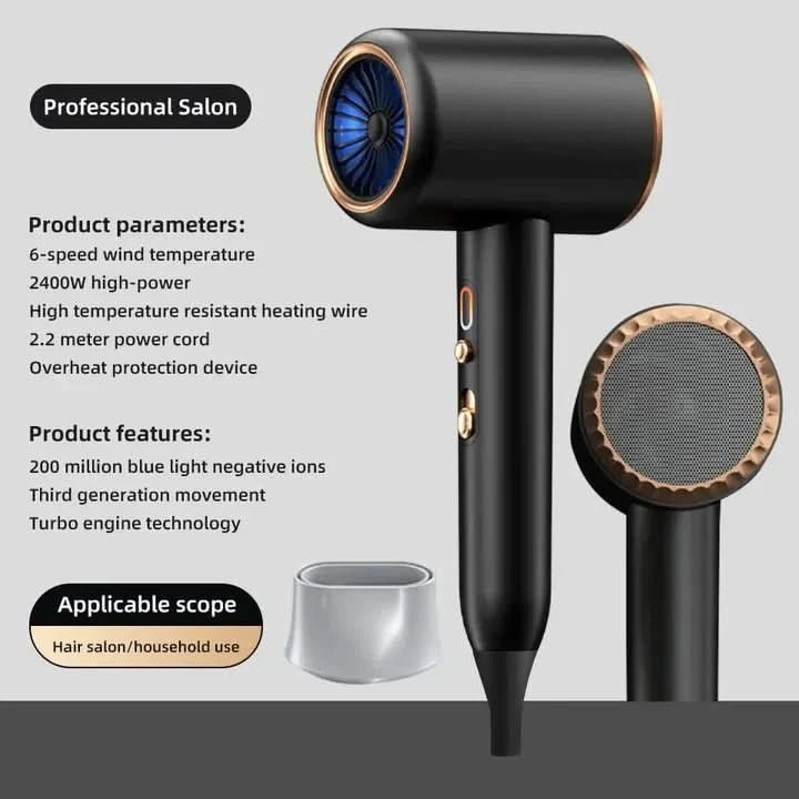 Sèche-cheveux 2400W avec Technologie Ionique 2
