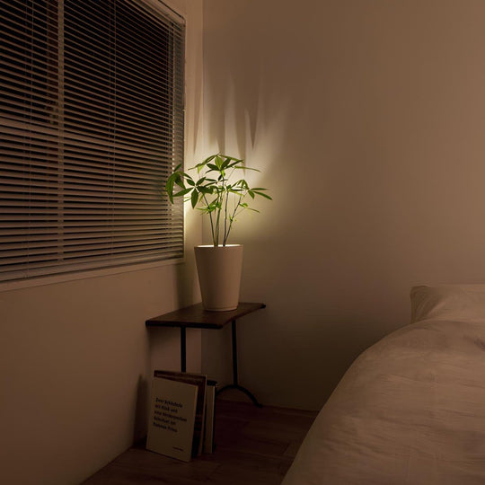 Spot LED Sans Fil Multifonctionnel 8