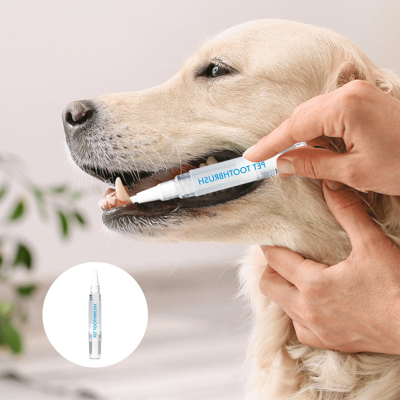Stylo Brosse à Dents pour Animaux de Compagnie Pratique 2