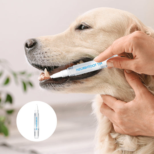 Stylo Brosse à Dents pour Animaux de Compagnie Pratique 2