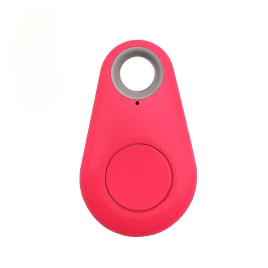 Suivi GPS pour Animaux de Compagnie Compact 2