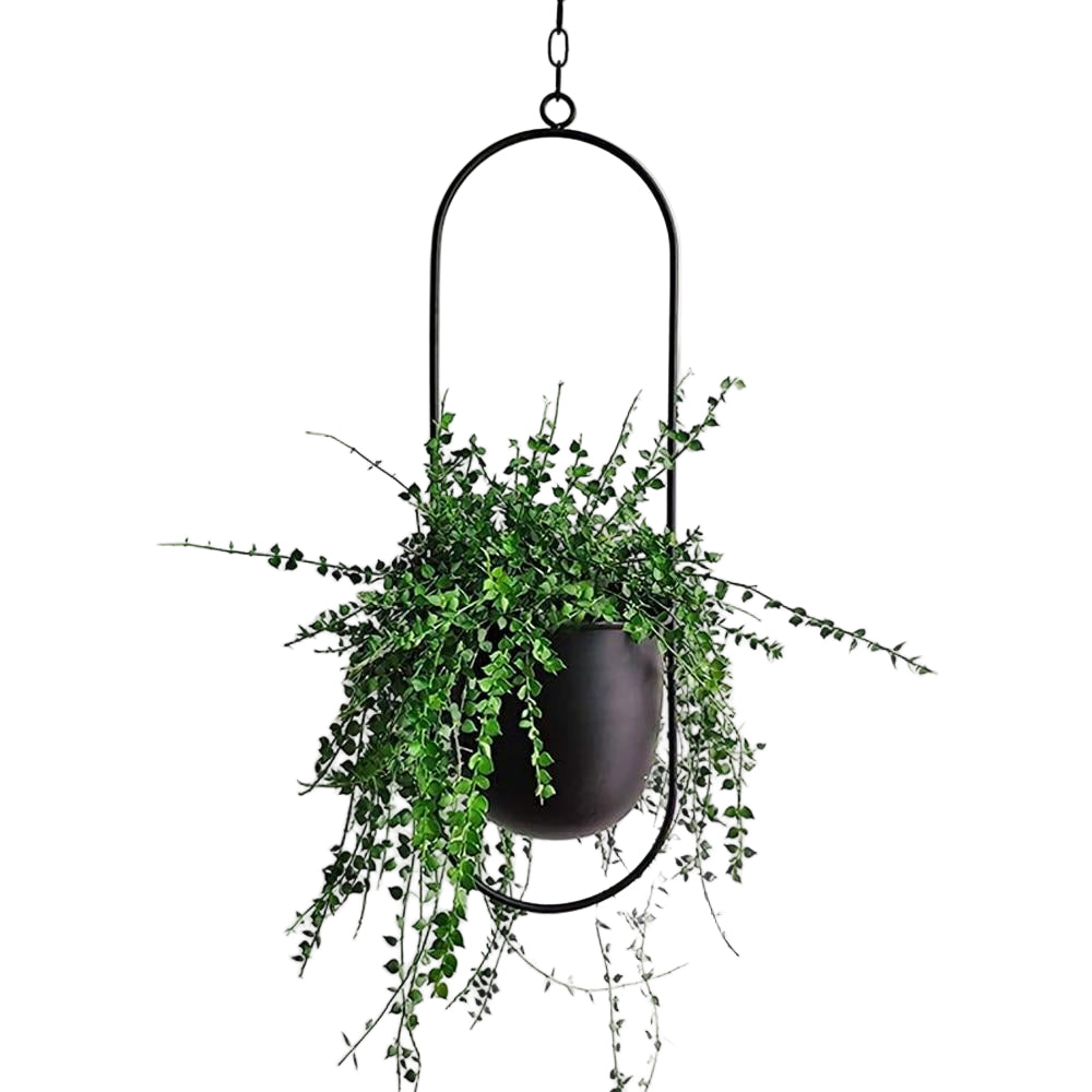 Support de Plantes Murales Moderne pour Décoration Intérieure 0