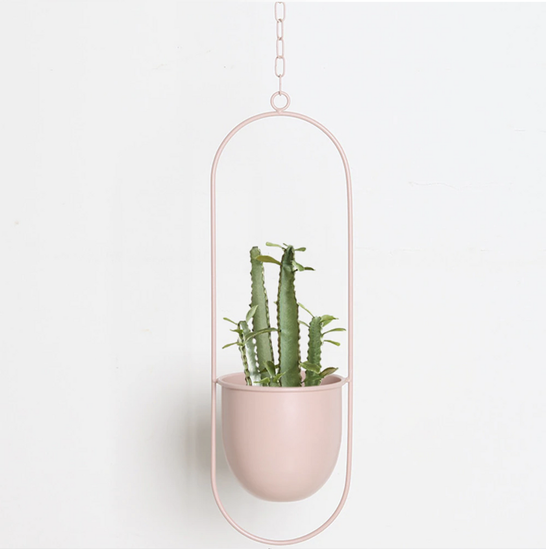 Support de Plantes Murales Moderne pour Décoration Intérieure 3