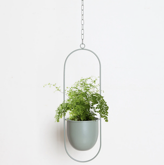 Support de Plantes Murales Moderne pour Décoration Intérieure 4