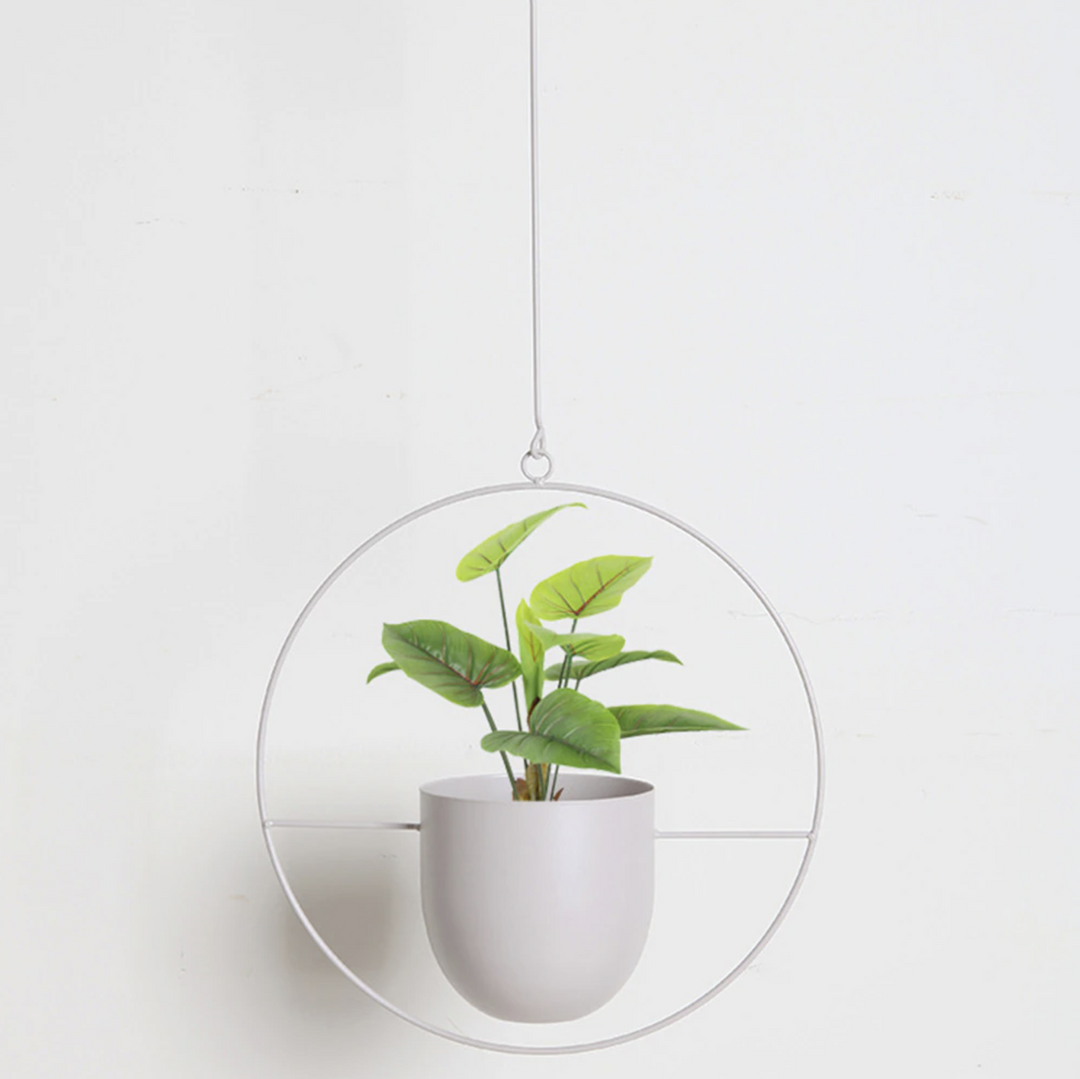 Support de Plantes Murales Moderne pour Décoration Intérieure 5