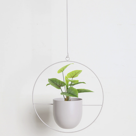 Support de Plantes Murales Moderne pour Décoration Intérieure 5