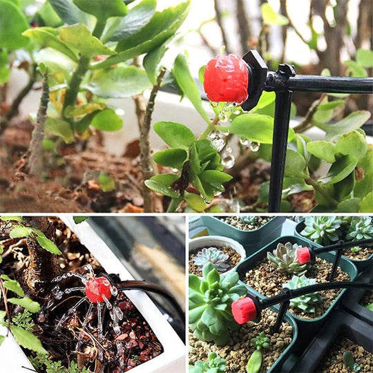 Système d'Arrosage Automatique Goutte à Goutte Programmateur pour Plantes 1