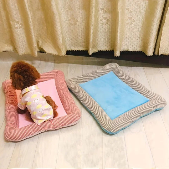 Tapis Rafraichissant Chien Bord Rembourré Antidérapant 60x45 cm 2