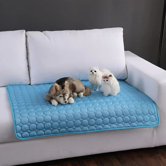 Tapis Rafraichissant Chien Confortable et Respirant 1