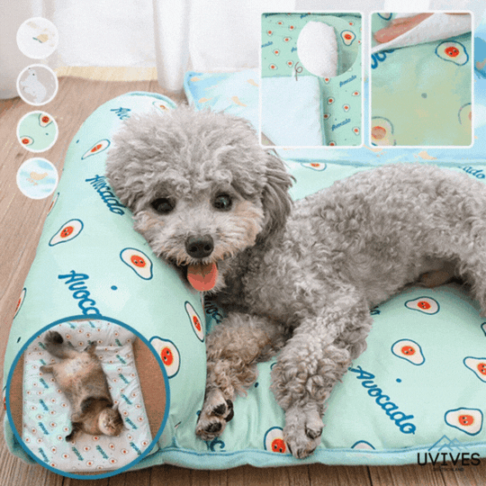 Tapis Rafraichissant Chien Idéal Pour Été - Confort Optimal Et Portable 1