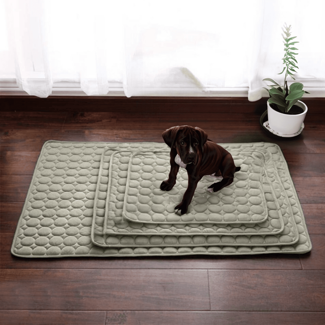 Tapis Rafraîchissant pour Chiens Confortable 4