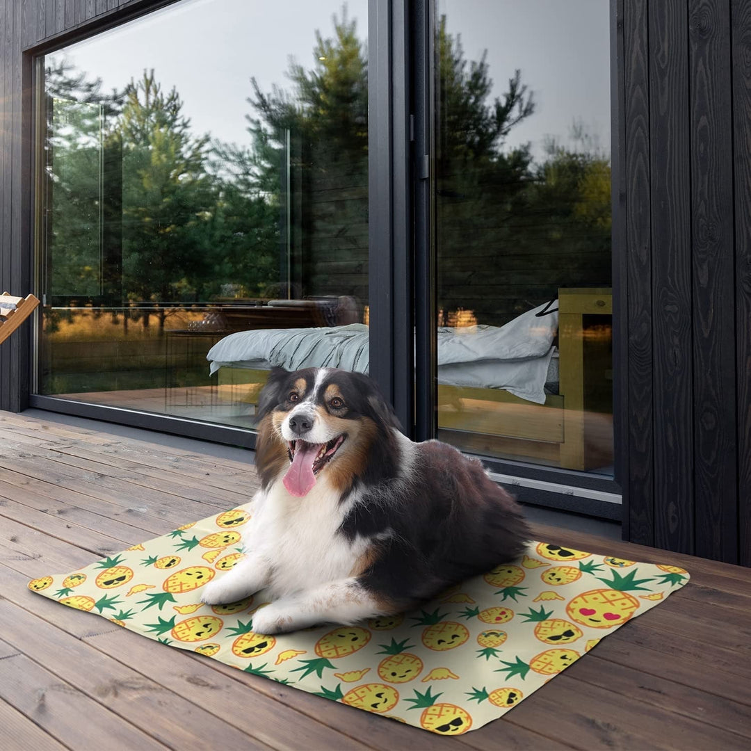 Tapis de Refroidissement Portable pour Animaux Unisexe 3