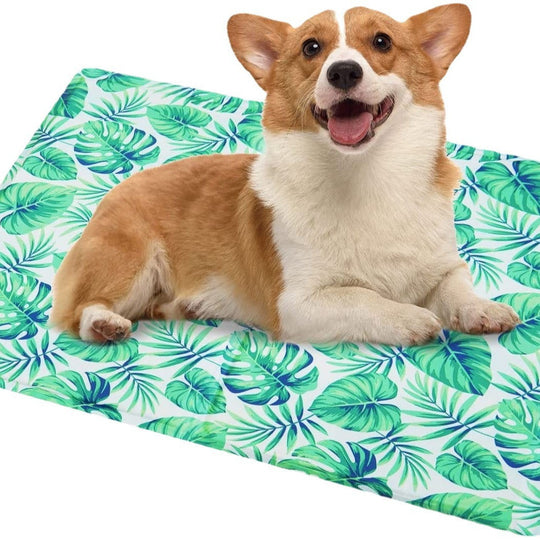 Tapis de Refroidissement Portable pour Animaux Unisexe 5