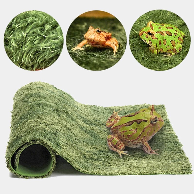 Tapis pour Reptiles Double Couche Confortable et Pratique 0