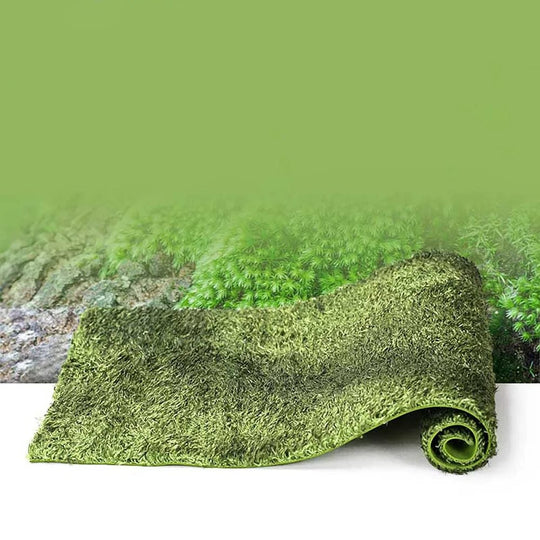 Tapis pour Reptiles Double Couche Confortable et Pratique 2