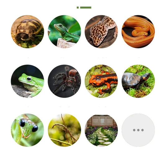 Tapis pour Reptiles Double Couche Confortable et Pratique 5