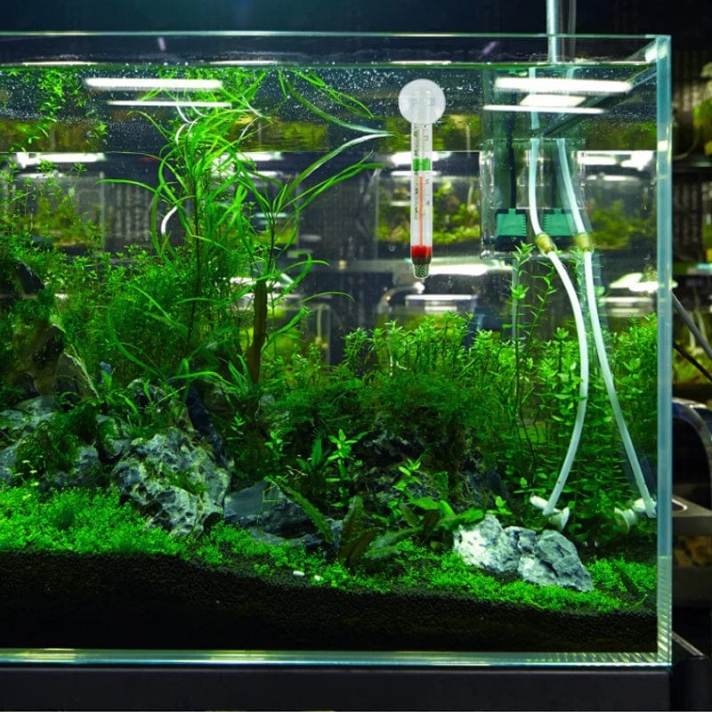Thermomètre Flottant pour Aquarium avec Ventouse 1