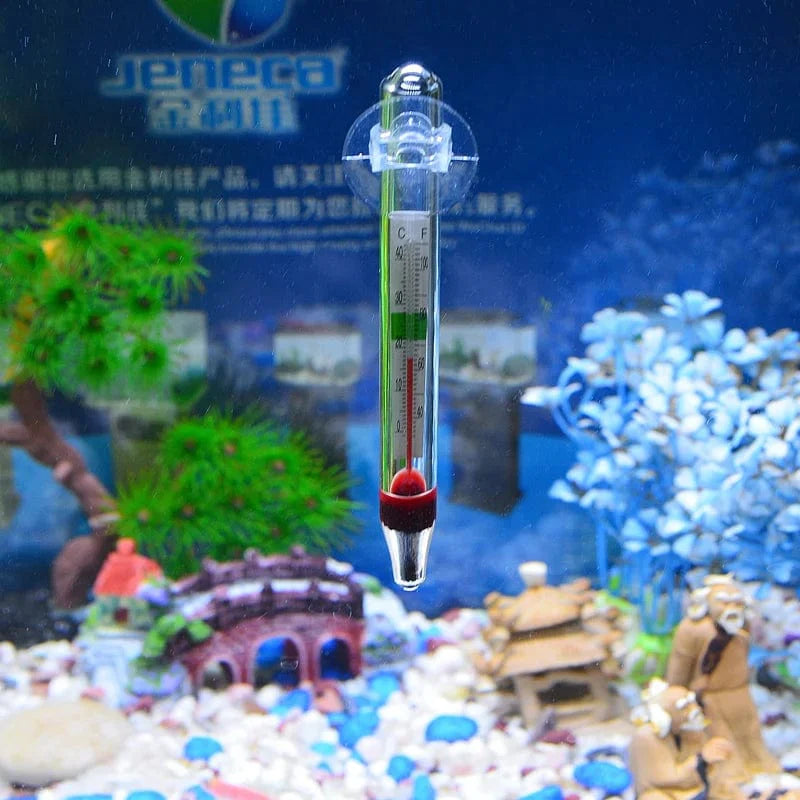 Thermomètre Flottant pour Aquarium avec Ventouse 2