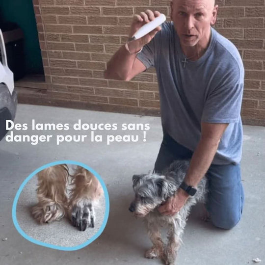 Tondeuse Silencieuse pour Chiens et Chats 5