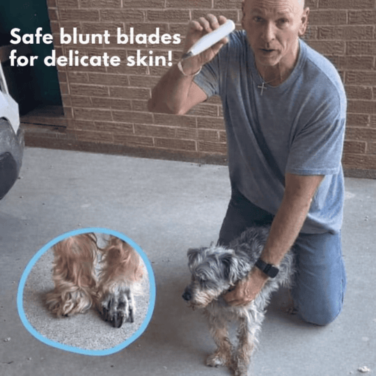 Tondeuse pour chiens Silencieuse et Ergonomique 5