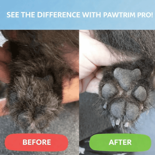 Tondeuse pour chiens Silencieuse et Ergonomique 6