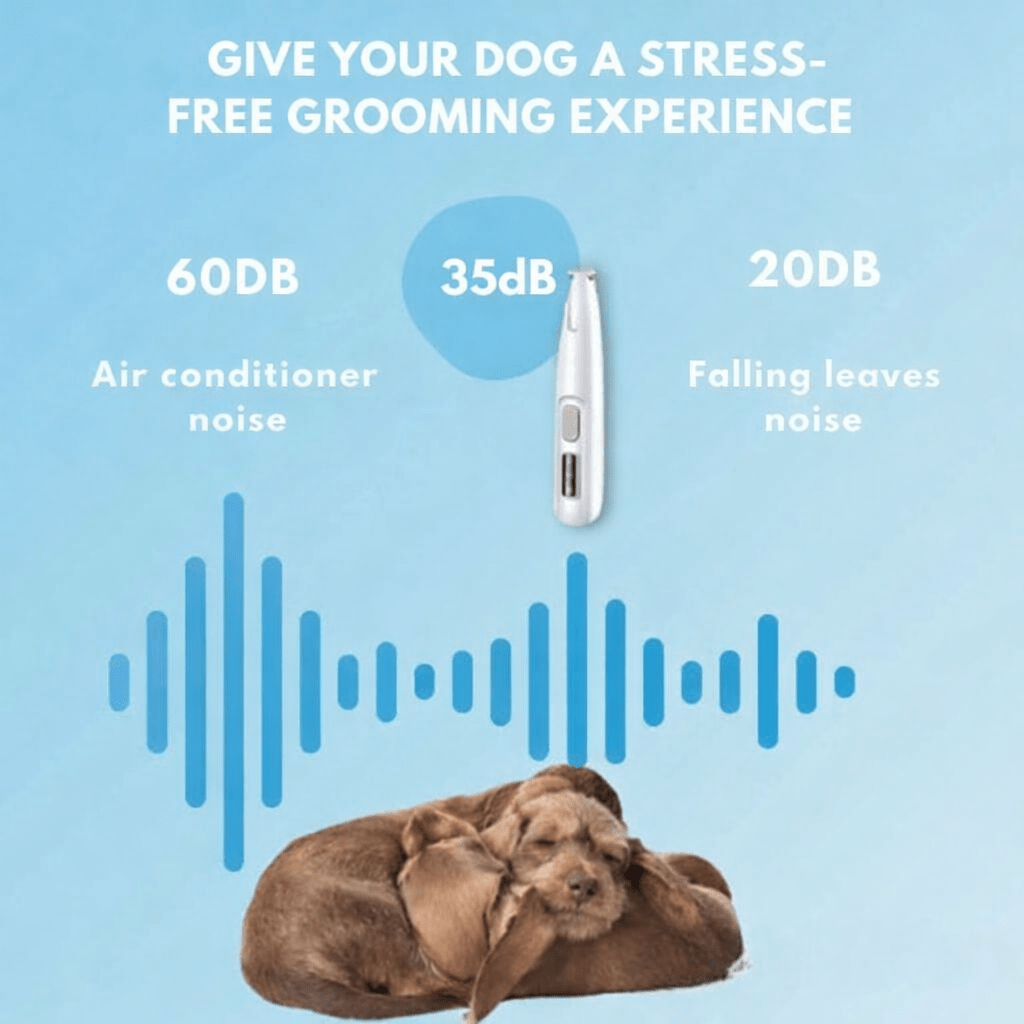 Tondeuse pour chiens Silencieuse et Ergonomique 7