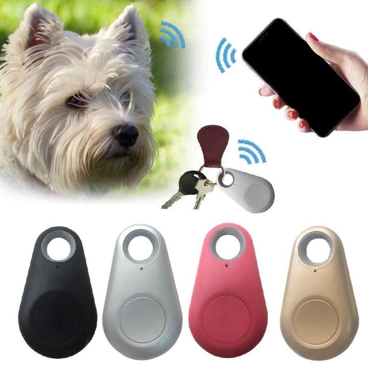 Traceur GPS Compact pour Animaux de Compagnie 5