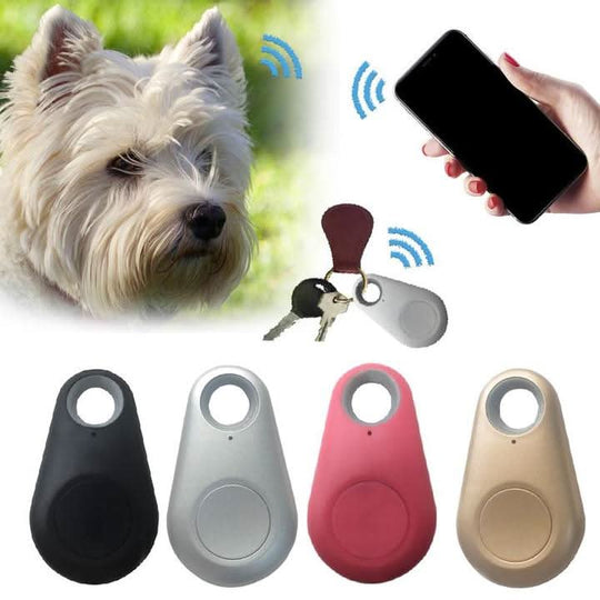 Traceur GPS Compact pour Animaux de Compagnie 5
