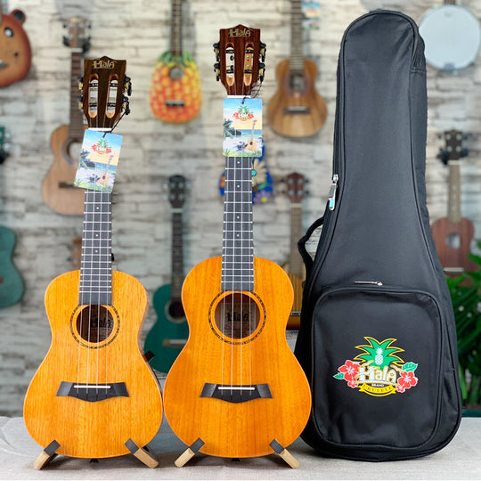 Ukulélé Acoustique 23 Pouces Compact Pour Débutants et Musiciens 1