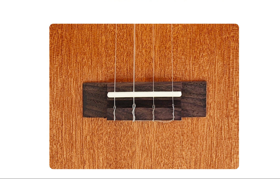 Ukulélé Acoustique Débutant Pratique et Légère 1