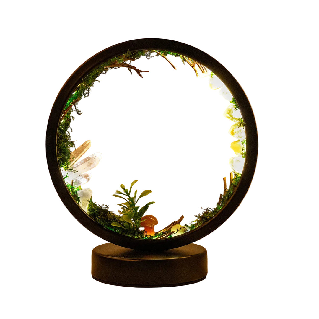 Veilleuse Circulaire Décorative avec Plantes et Cristaux 0