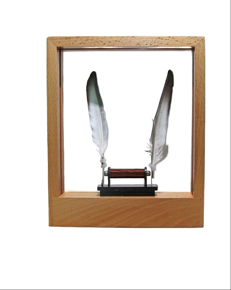 Veilleuse LED à Plumes avec Effet de Mouvement 0