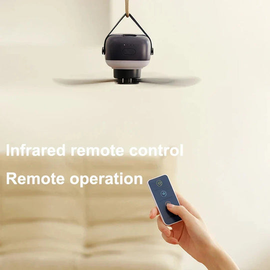 Ventilateur de Plafond Moderne avec Éclairage LED 2