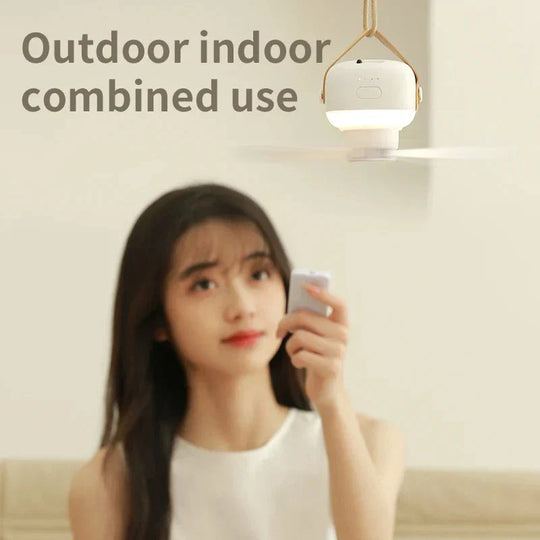 Ventilateur de Plafond Moderne avec Éclairage LED 5