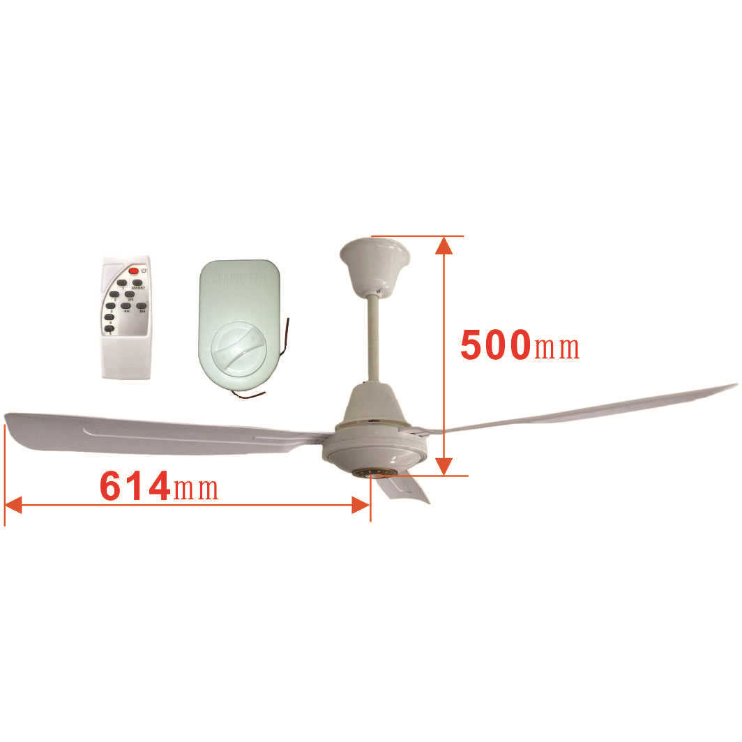Ventilateur de plafond moderne pour homme et femme 2
