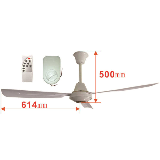 Ventilateur de plafond moderne pour homme et femme 2