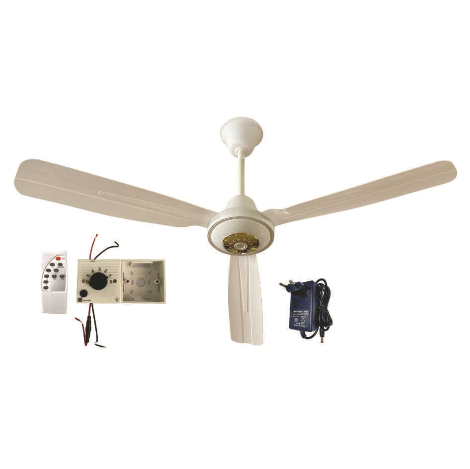 Ventilateur de plafond moderne pour homme et femme 5