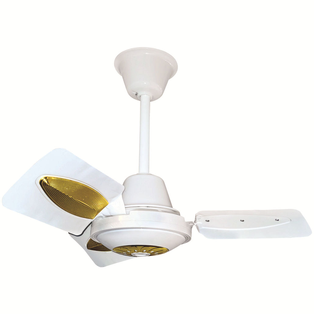Ventilateur de plafond moderne pour homme et femme Bowlift 3