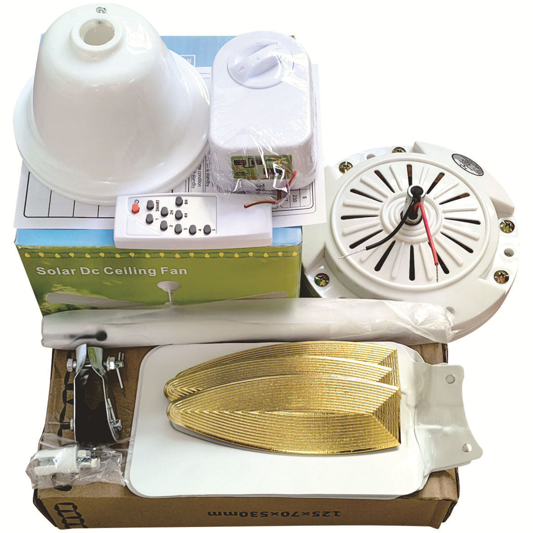 Ventilateur de plafond moderne pour homme et femme Bowlift 4