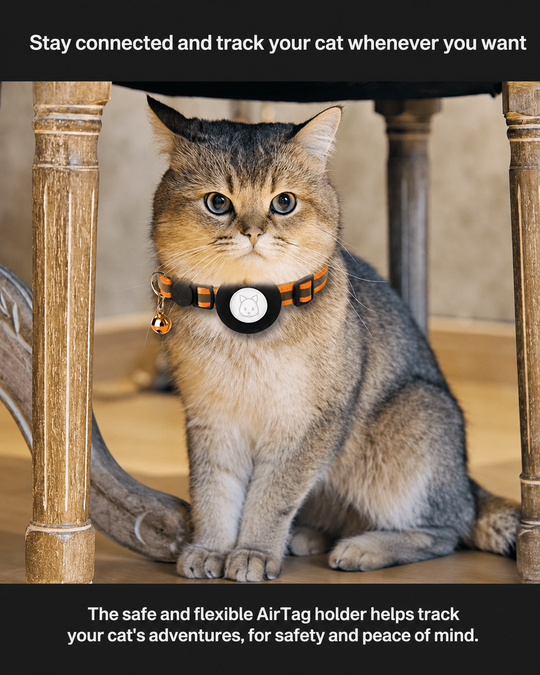 Collier GPS pour Chats avec Design Réfléchissant