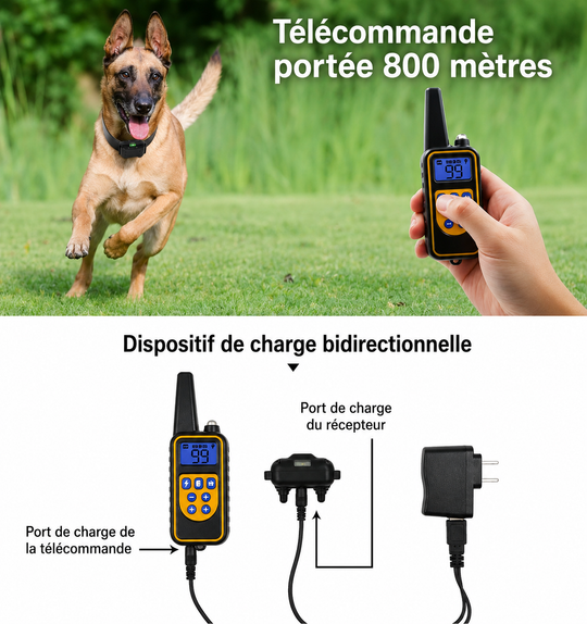 Collier Électrique de Dressage pour Chien avec Télécommande Étanche