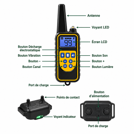 Collier Électrique de Dressage pour Chien avec Télécommande Étanche