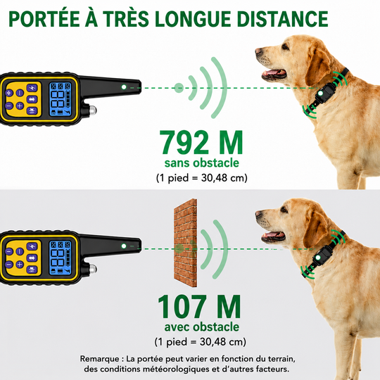 Collier Électrique de Dressage pour Chien avec Télécommande Étanche