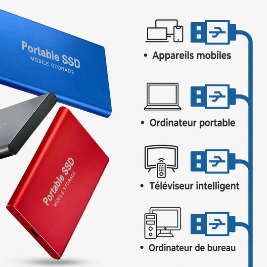 Disque Dur Externe Portable 1To-30To Ultra Rapide USB 3.1
