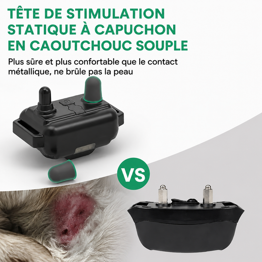 Collier Électrique de Dressage pour Chien avec Télécommande Étanche