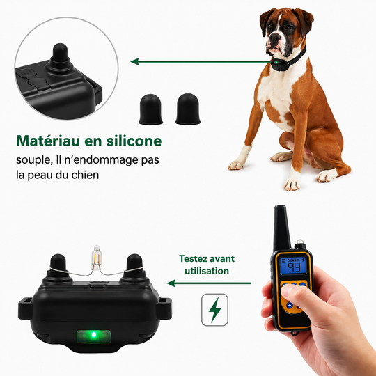 Collier Électrique de Dressage pour Chien avec Télécommande Étanche