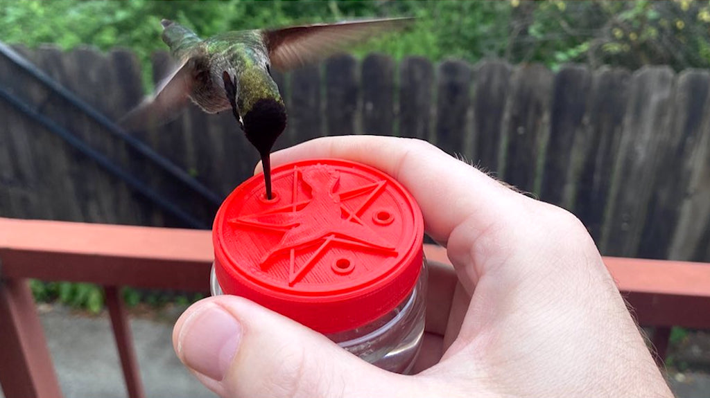 Mangeoire manuelle pour colibris