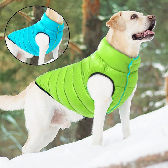 Manteau imperméable réversible pour chien