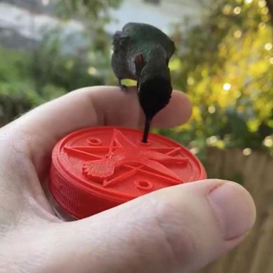 Mangeoire manuelle pour colibris